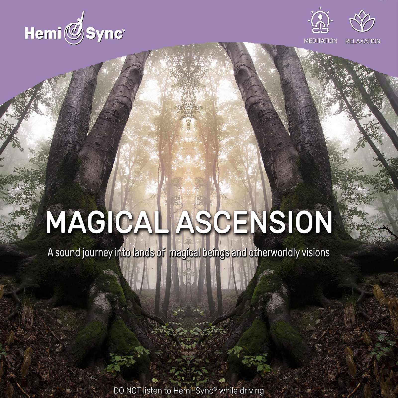 Дебора Мартин и Hemi-Sync Magical Ascension (CD)