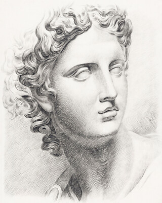 Vintage Sketch of an Antique Sculpture Bust Giclee Print on Fine Art Paper
