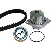 INA Zahnriemensatz + Wasserpumpe FüR PSA C15 Saxo Xsara 106 205 206 306 1.4 1.6