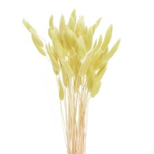 60 St&uuml;ck nat&uuml;rliche Hasenschw&auml;nze,getrocknete Blumen,43cm,Mini-Gras,gelb