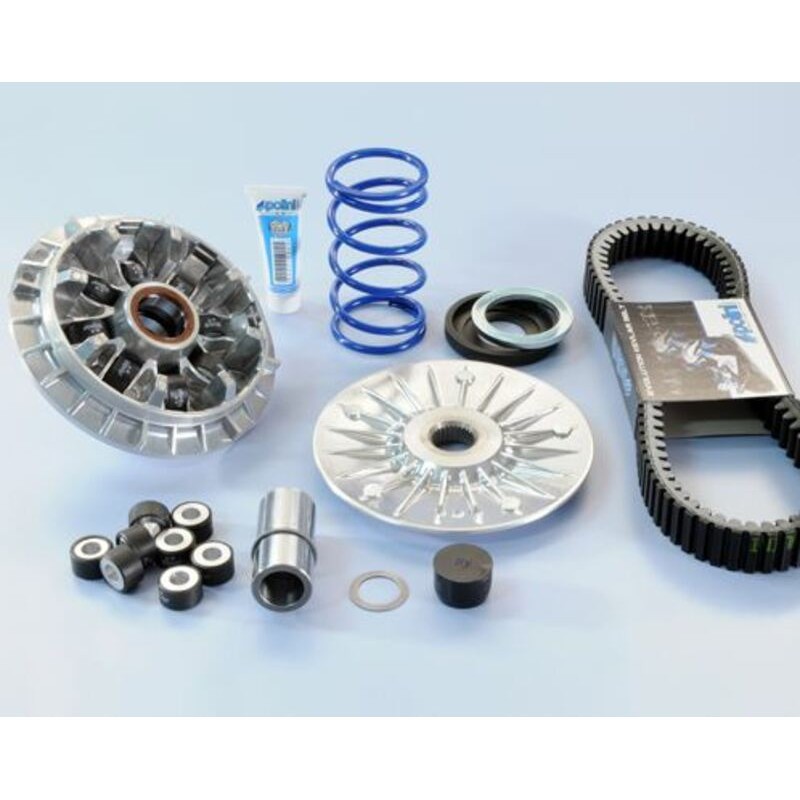 Variateur POLINI Hi-Speed élimine le trou à l'accélération du Yamaha T-max 500