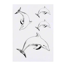 4 x 'dolphin' Temporary Tattoos / Transfers (TO00062518)