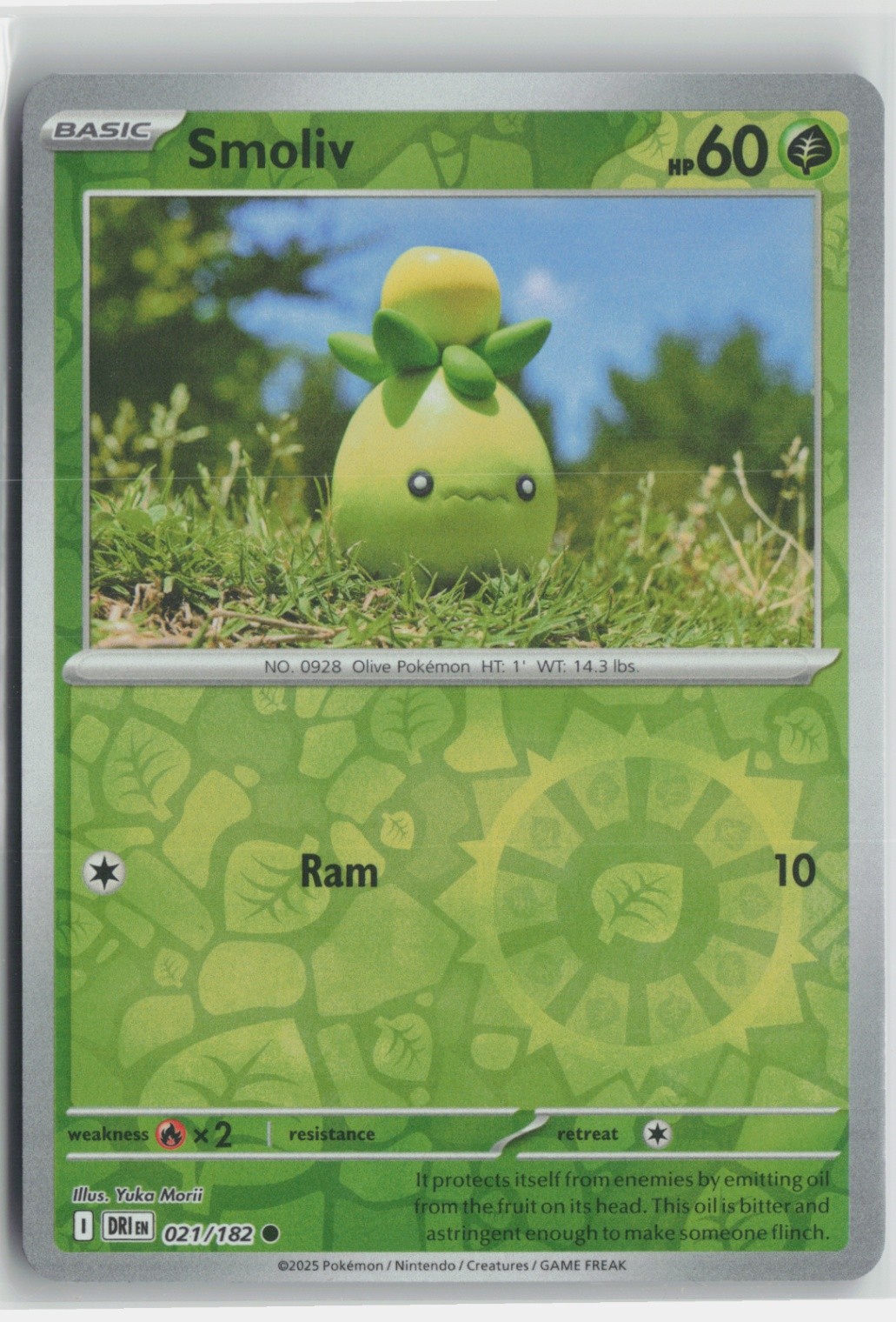 Smoliv 021/182 Common SV10: Destined Rivals NM Reverse Holo