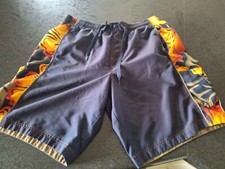 Mens Speedo Swim Trunks, Size Large