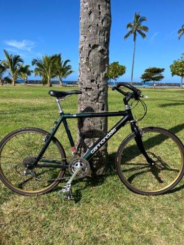 Cannondale M700 Mountain Bike 18” green/black used - Gold anodized Rims