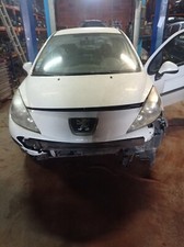 Baguette de porte Peugeot 207