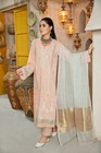 RAAYA Luxury Embroidered Karandi Stitched 3pc Suit RK-D4 TERRA