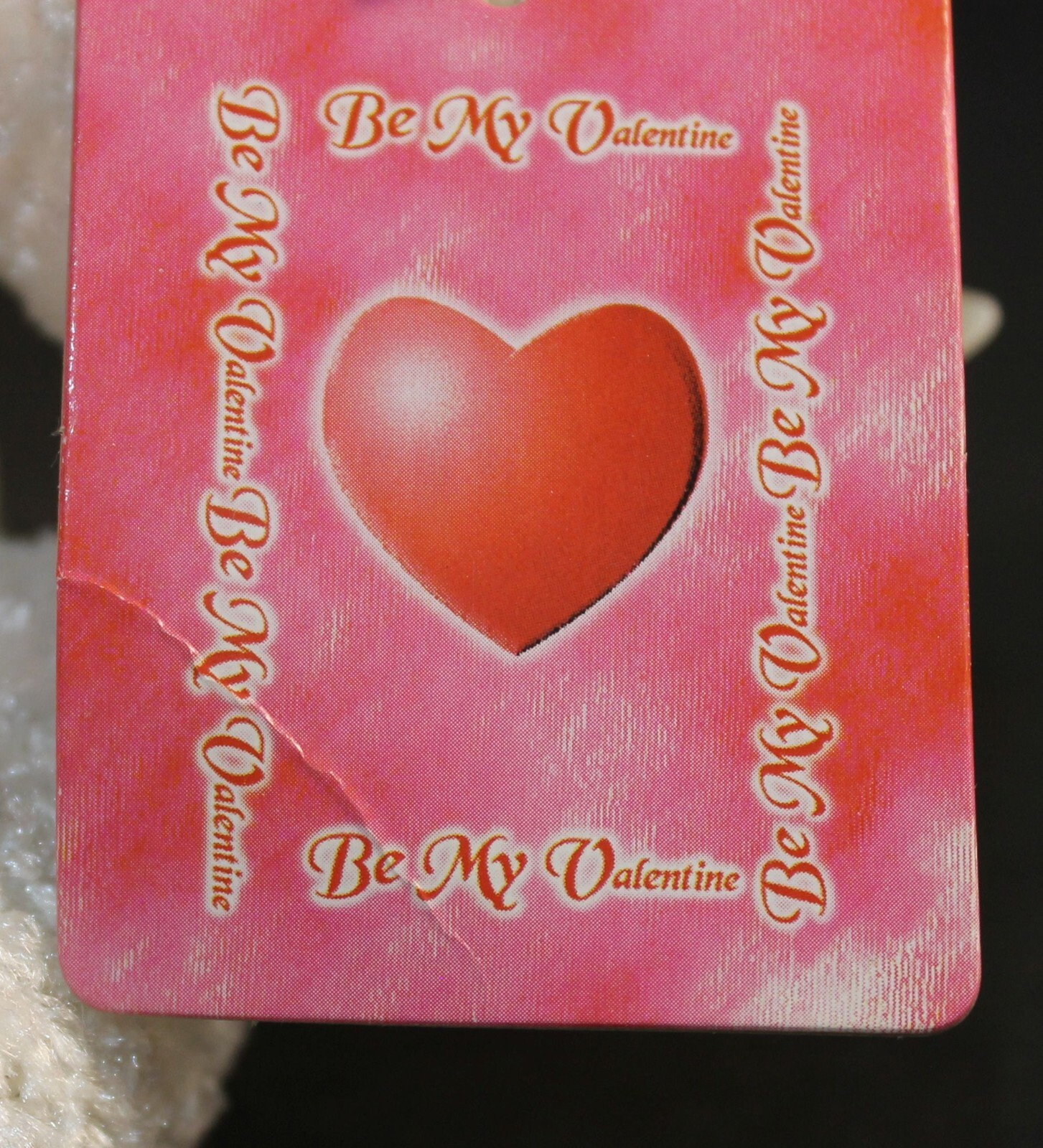 Bild 8 von 8