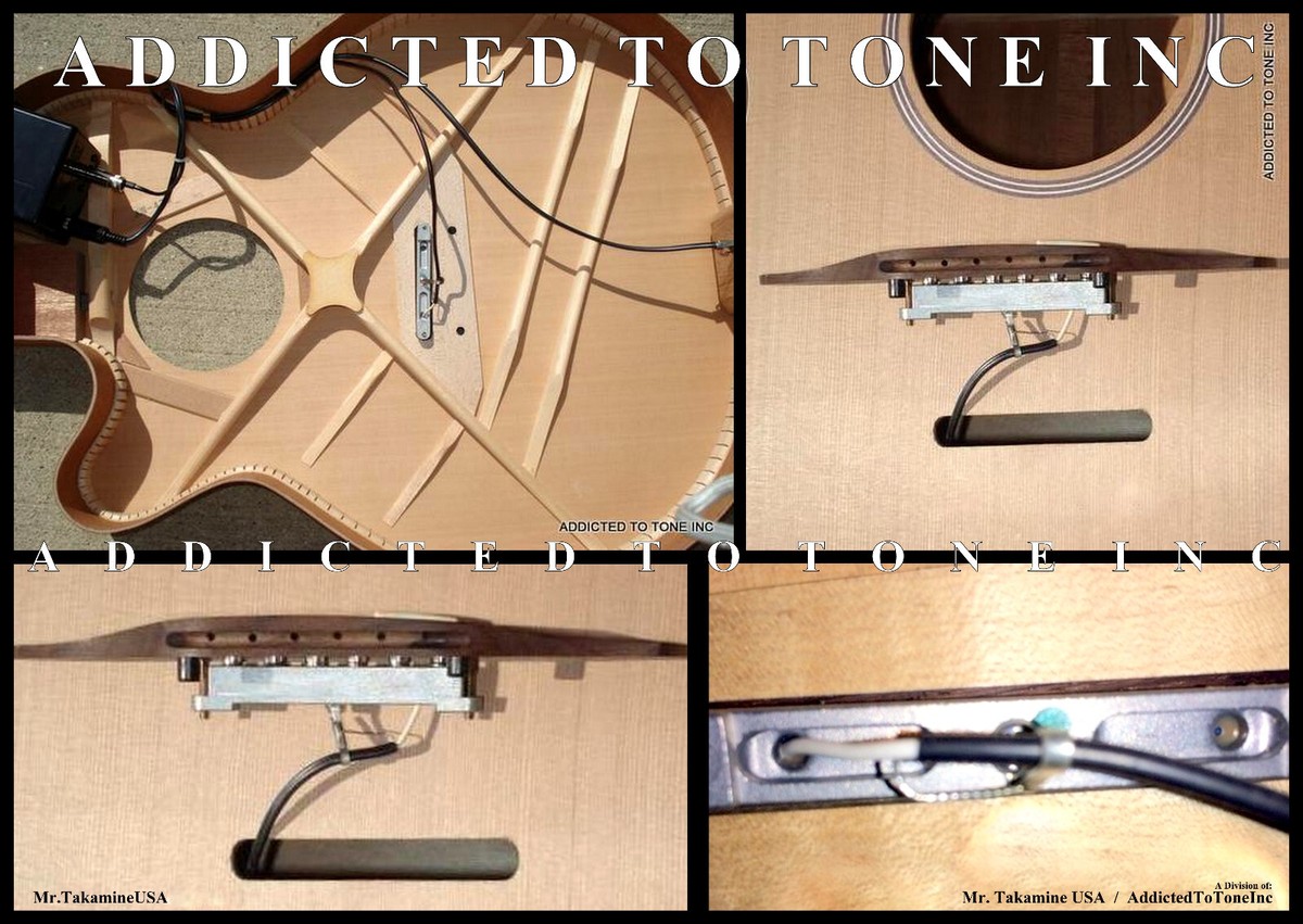 Takamine GBY-S Gigbag Per Chitarra Classica O New Yorker - Foto 10