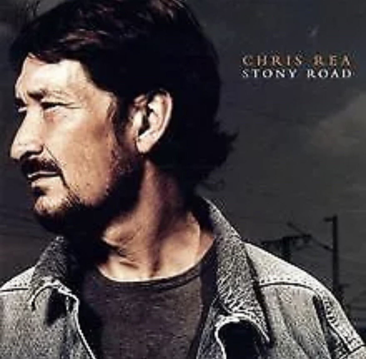 CHRIS REA - STONY ROAD  CD