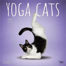 Yoga Cats OFFICIAL | 2026 12x24" Square Wall Calendar | Plastic-Free