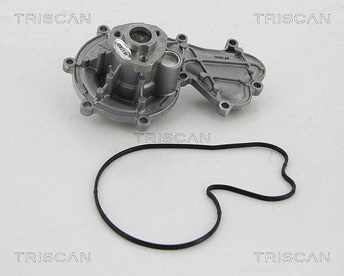 Triscan Wasserpumpe, MotorküHlung U.A. FüR Audi, VW-image