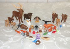 WALDTIERE - Rehe, Füchse, Wildschweine, Biber, Vögel    u.a. - heimische Tiere