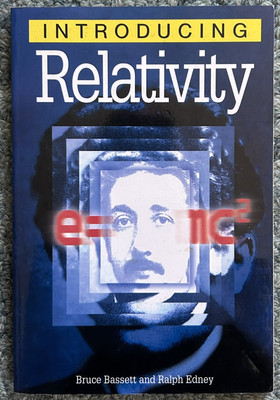 Introducing Relativity - Albert Einstein 2002 Totem Books - Bassett Edney