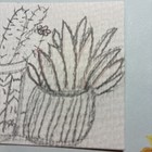 ACEO Sketch Catus in Planters — photo 2
