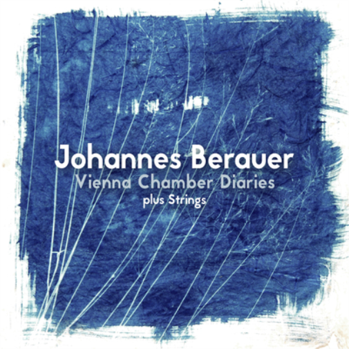Johannes Berauer The Vienna Chamber Diaries Plus Strings (CD) Album Digipak