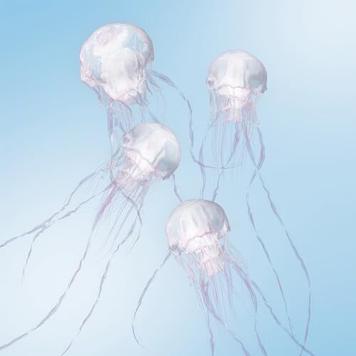 SCANDAL LUMINOUS CD Standard Edition | eBay