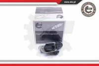 Esen Skv Agr-Ventil Elektrisch FüR Ford Fiesta Vi Focus Iii Turnier 14SKV185