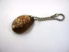 Collectible Keychain: Brown  White Shell