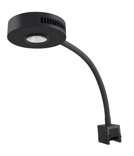 enzyme based odor neutralizer