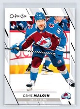 2023-24 O-Pee-Chee Denis Malgin #481