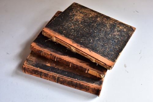 3x original antike Bücher aus 1893 Ernst Hofmann Raupen & Schmetterlinge Europas - Afbeelding 1 van 24