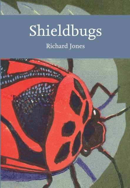 Shieldbugs by Richard Jones (Paperback Book)