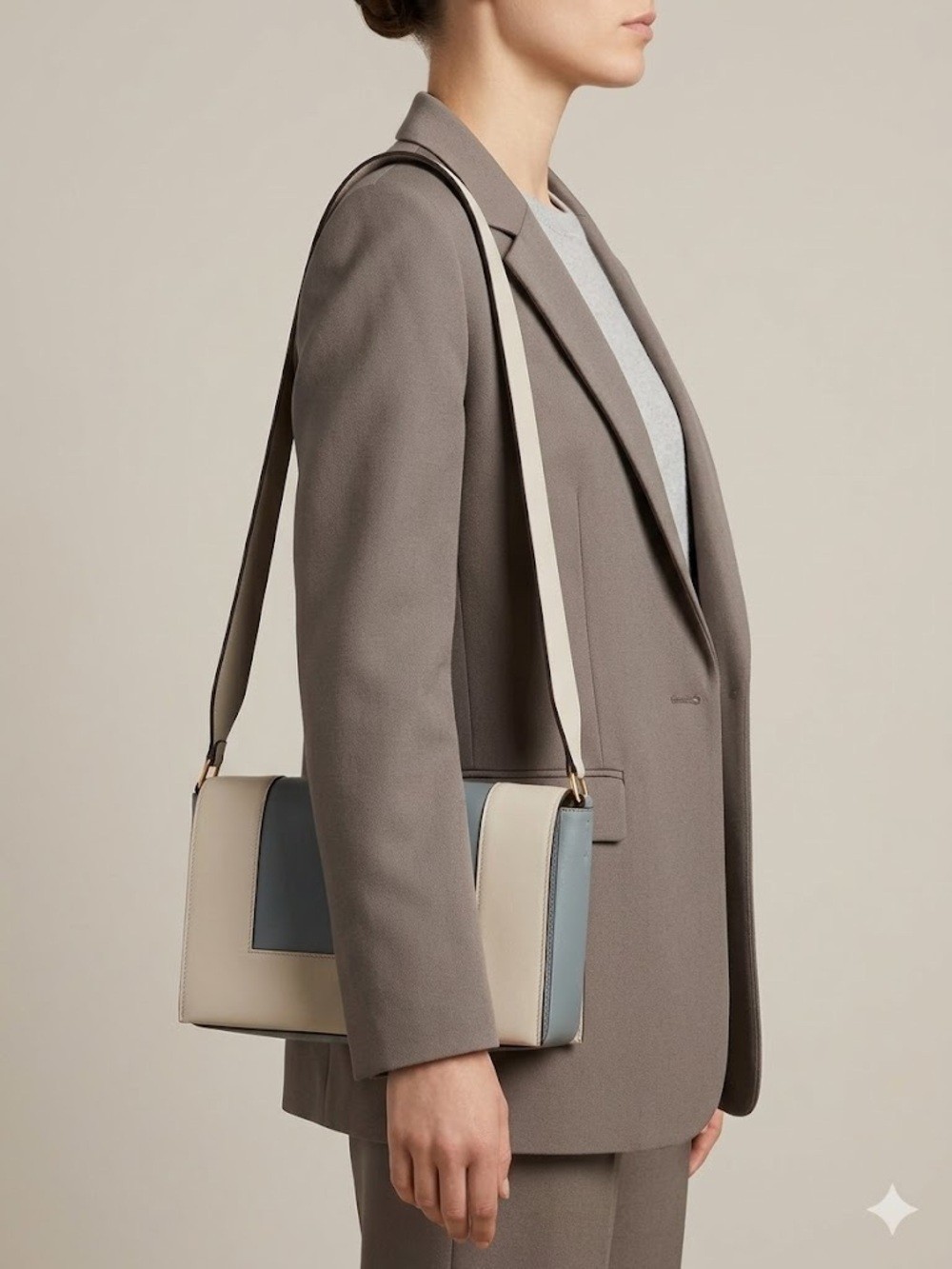 Celine Smooth Calfskin Medium Frame Shoulder Bag image 4