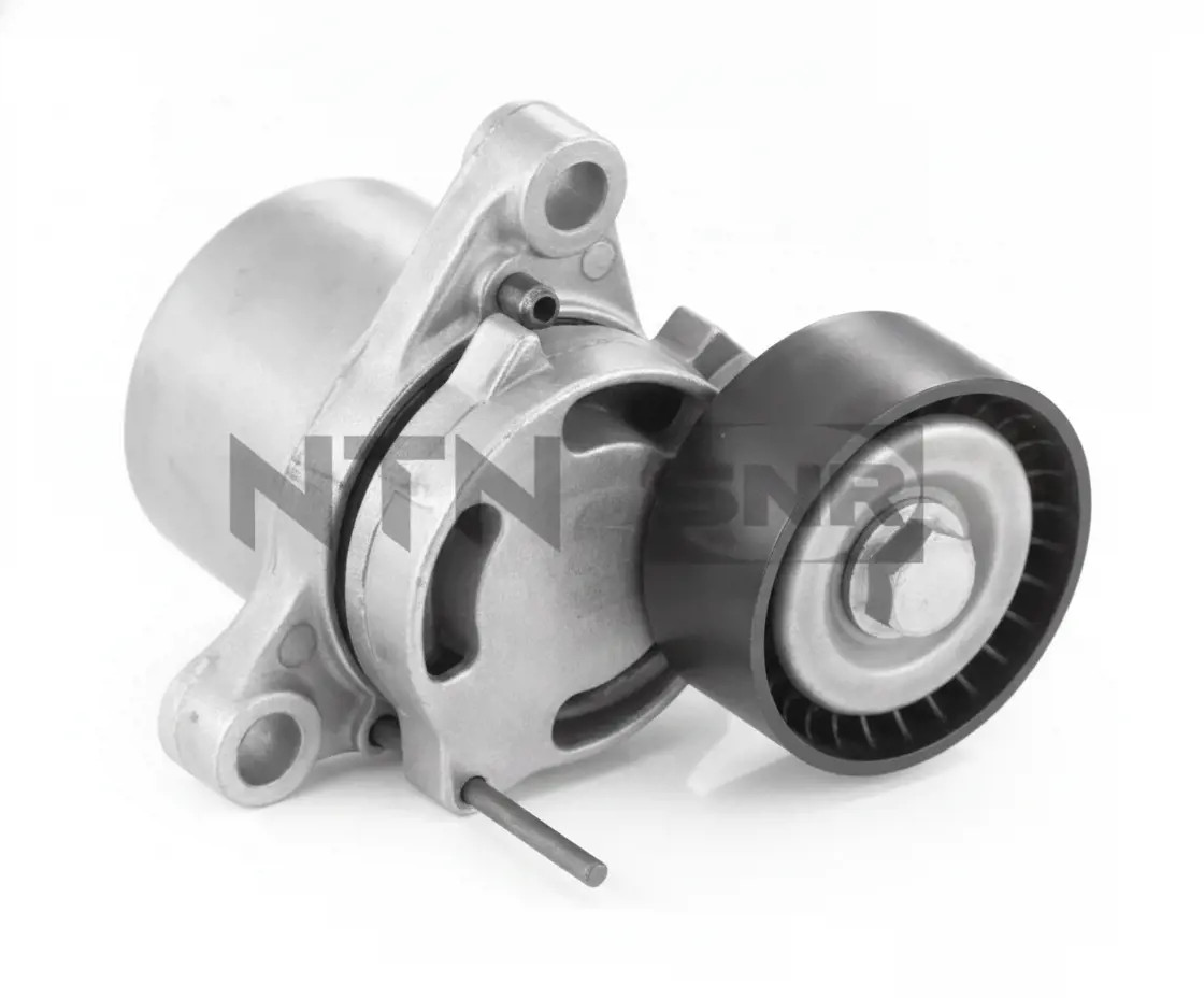 SNR GA350.101 Rullo Tendicinghia - Immagine 2