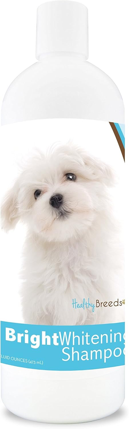 Healthy Breeds Maltese Bright Whitening Shampoo 12 Oz For White Coats Pina Co...