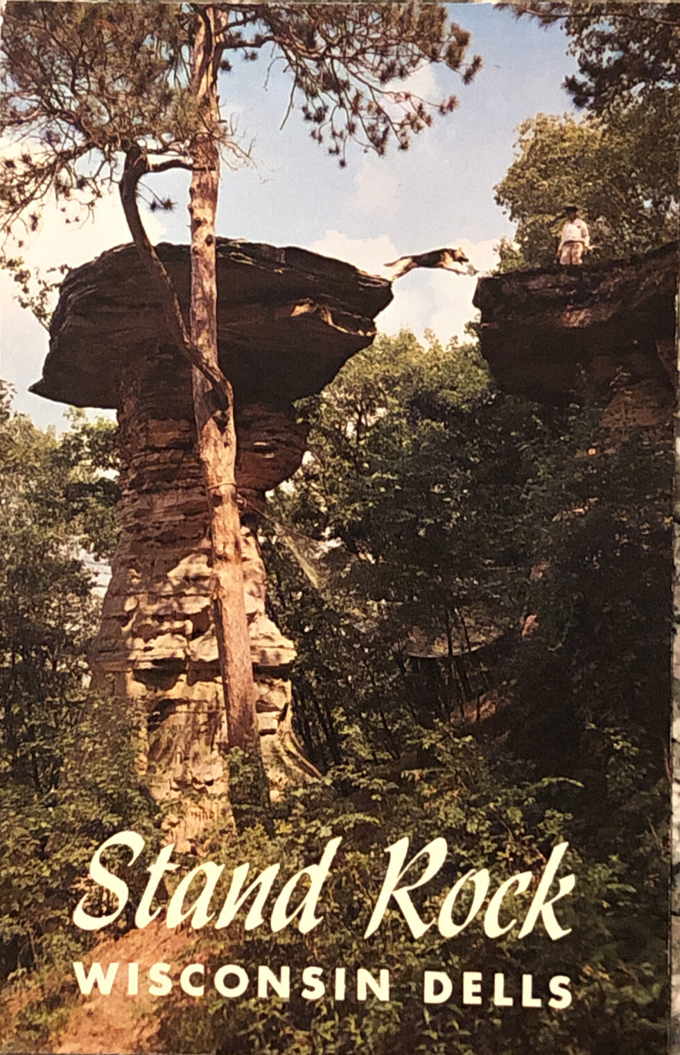 Wisconsin Dells Stand Rock Postcard German Shepherd Dog Jump Formations VTG