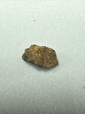 NWA Small Astroid Meteorite Space Rock Sahara Desert Northwest Africa 221634425