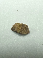 NWA Small Astroid Meteorite Space Rock Sahara Desert Northwest Africa 221634425