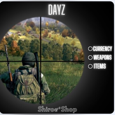DayZ [PC]  Currency and Items [Read description]