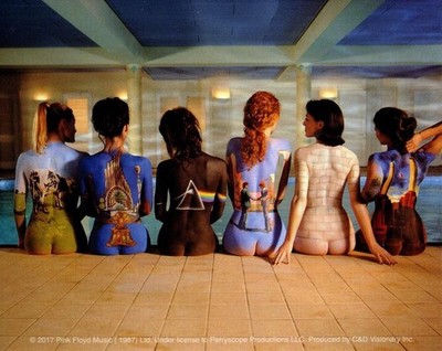 Pink Floyd Back Catalogue Sticker Decal Rock