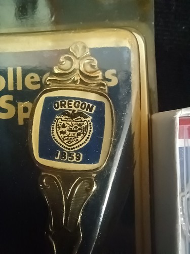 Konvolut 13 Souvenir Sammellöffel aus verschiedenen Staaten/Orten NEU - Bild 15 von 16
