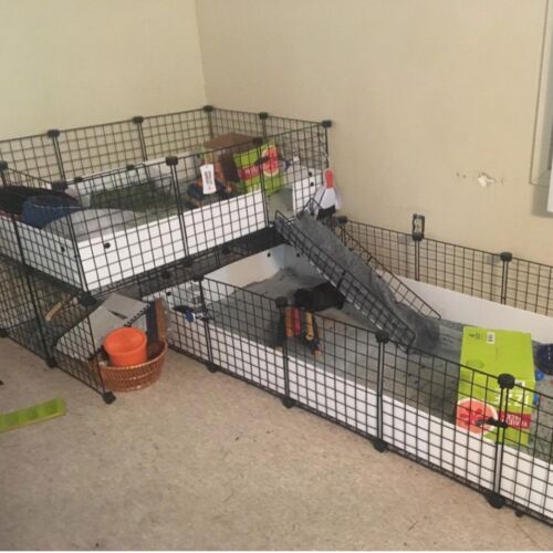 Rabbit play pen