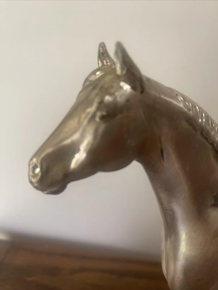 Trofeo Grand Champion Mare 1976 Hope Hull Al. American Quarter Horse Association Foto 2 de 4