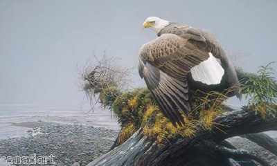 Robert BATEMAN '' Vantage Point '' Limited Edition Canvas art  Bald Eagle 36x60