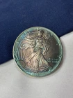 1995 Fine Silver 1 Oz Coin American Eagle Dollar TONED