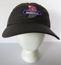 Owens Corning Fiberglas Pink Panther Hat Cap OSFM Strap Back Hard Plastic Lined