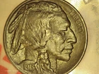 1913-P TYP 1 ( Raised Ground )  Buffalo Nickel