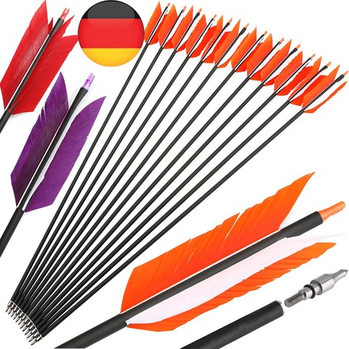 12X 30 Zoll Bogenschießen Carbonpfeile Flu Flu SP500 Tipps Bogen Jagdpfeile DE - Bild 1 von 19