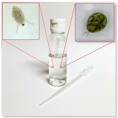 100+ Mixed Live Freshwater Moina & Seed Shrimp Culture - 1mm Size, Parasite Free