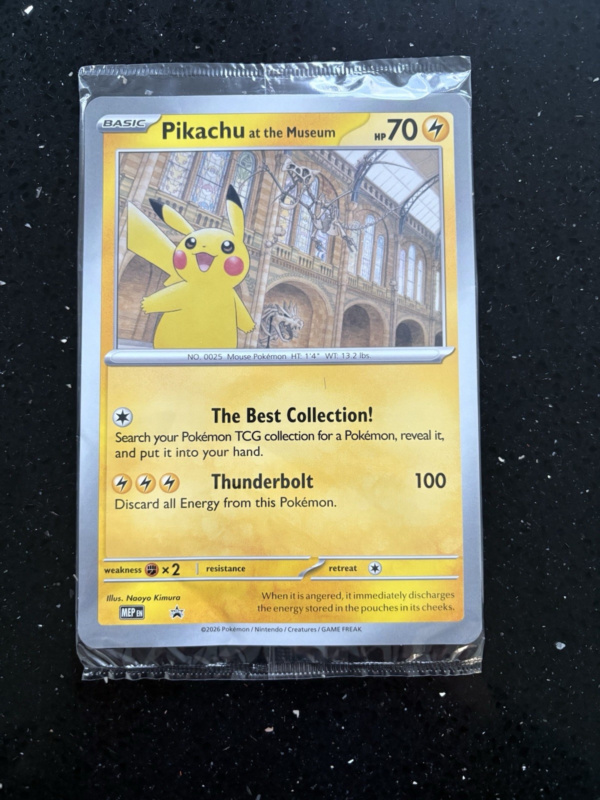 Pikachu At The Museum, Pokémon X Natural History Museum Jumbo Promo Pokémon Card