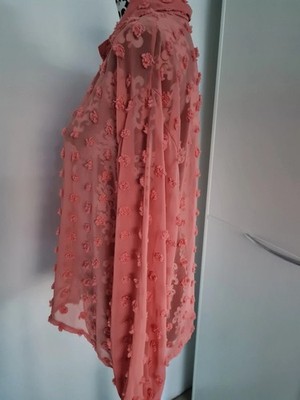 Festliche Bluse extravagant transparent 3D Bluse Rosen Altrosa Elegant