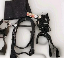 Western Horse Tack Lot