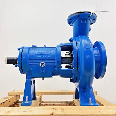 Goulds 6x8-13 3196 XLTi i-Frame Cast Iron Centrifugal Pump 12” Imp