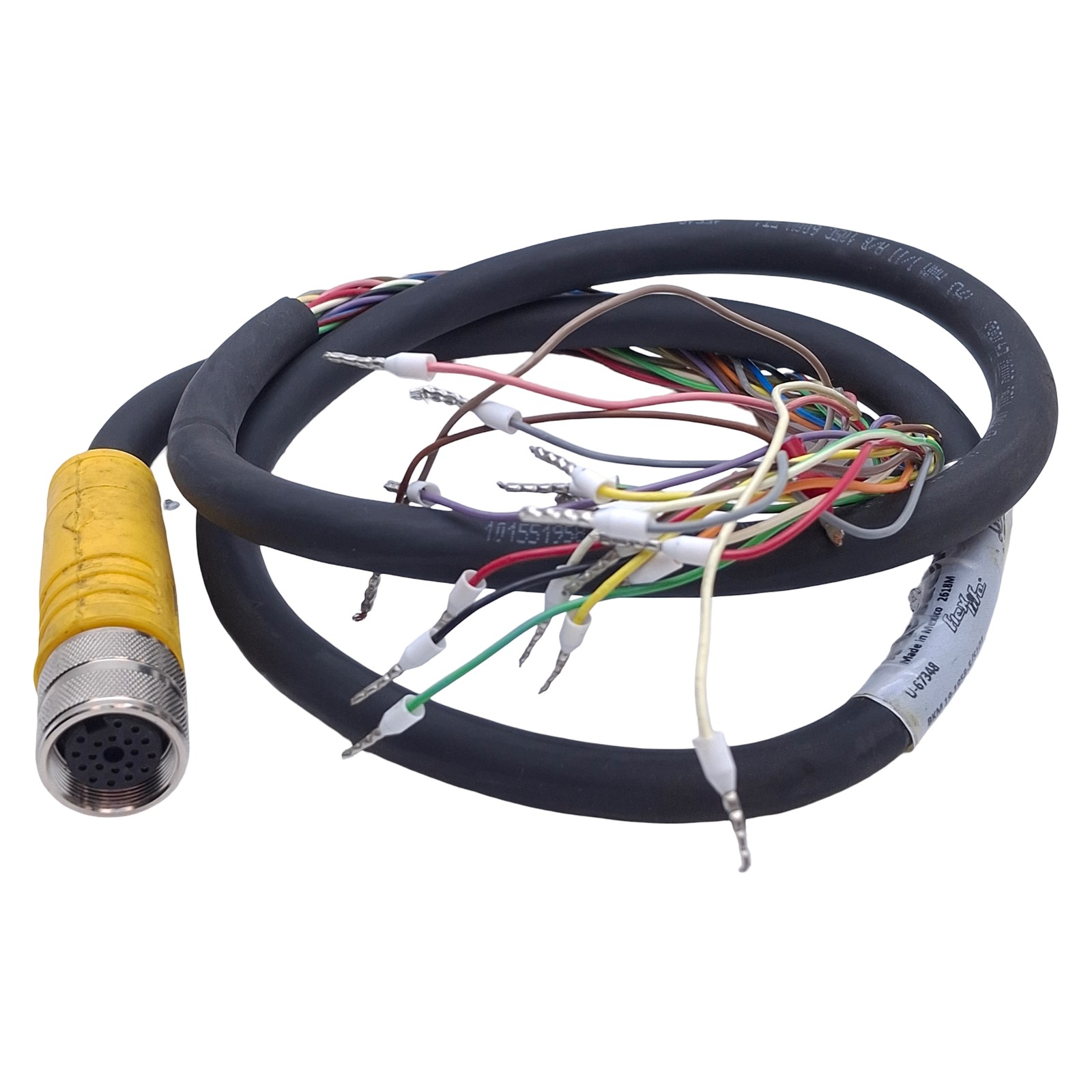 Turck BKM 19-1958-1/S101 Single-Ended Cordset M16 19-Pin Female, 30VAC/DC 3A, 1m
