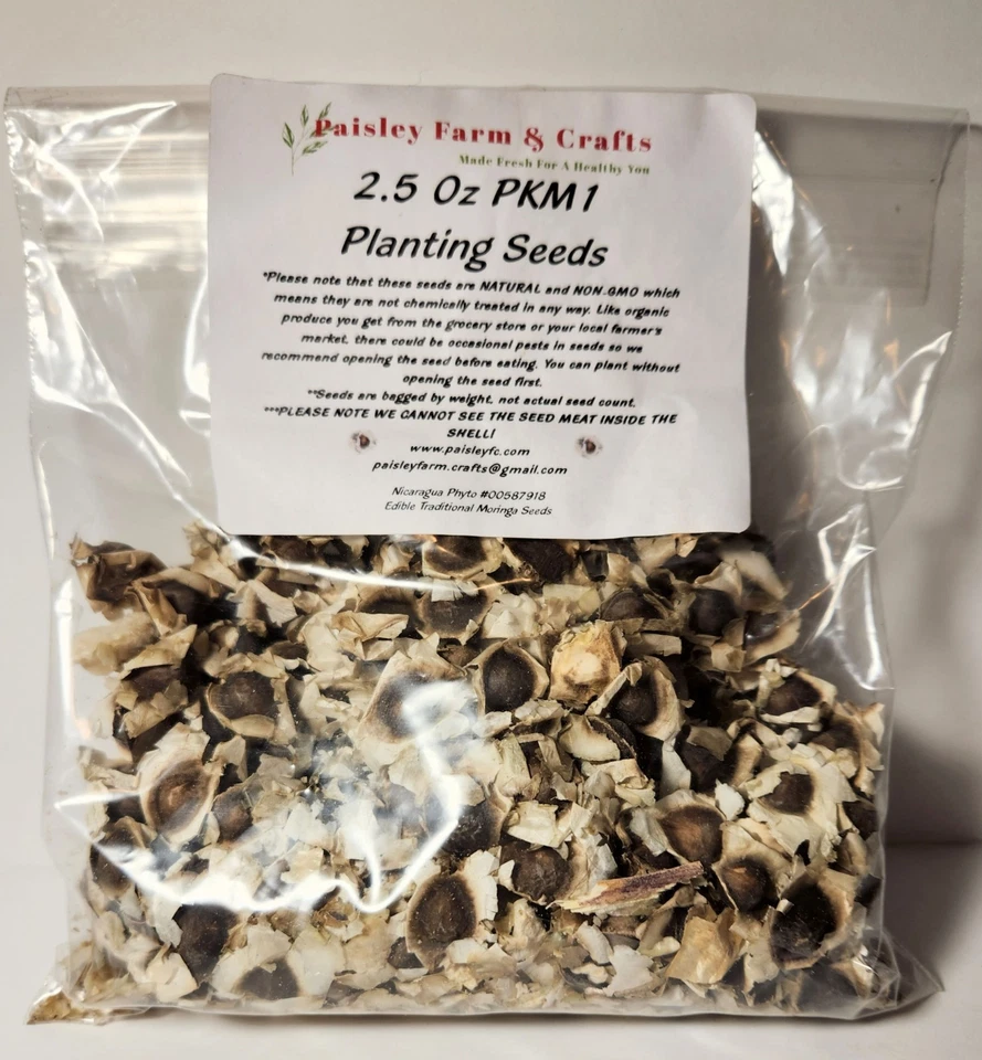 Moringa Oleifera PKM1 Seeds - US Customs Cleared - All Natural! - Image 2 of 4